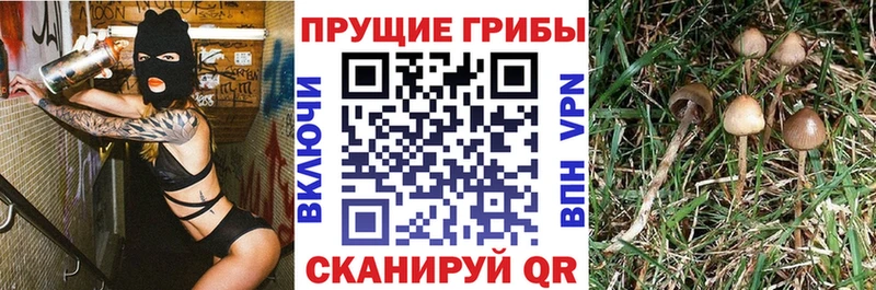 Галлюциногенные грибы ЛСД  Купить  Сызрань 